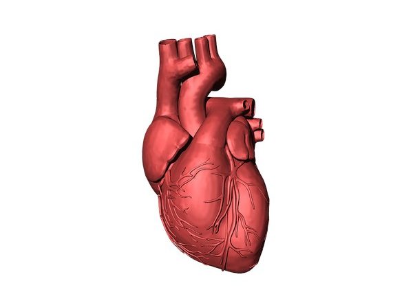 Health News | Hearts and Bodies Change with Age, Heart Disease Treatments May Need to Change Too: Study