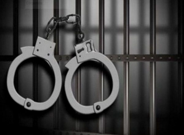 India News | NCB Mumbai Busts Inter-state Drug Trafficking Syndicate, Arrests Five