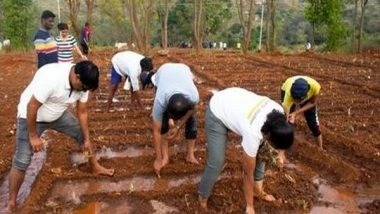 Business News | EY Global Delivery Services Celebrates International Volunteering Day Week