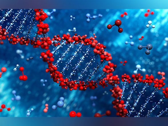 Science News | Researchers Discover Cellular 'glue' to Regenerate Tissues, Heal Wounds, Regrow Nerves - Vimarsana News