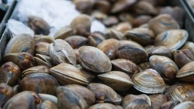 Science News | Research: Wood-eating Clams Use Their Feces to Dominate Habitat
