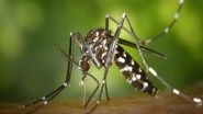 Science News | Mosquitoes Carry Bacteria Internally Than Outside: Study