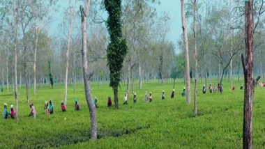 India News | Assam Grants Industry Status to Tourism Sector