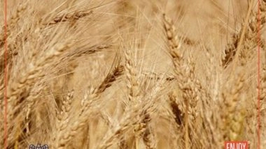 Business News | Pure Flour: Healthy and Delicious