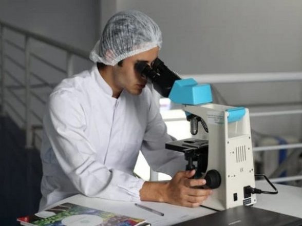 Health News | Promising Antimalarial Drug Proves Ineffective at Saving Children's Lives - Vimarsana News