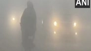 India News | Dense Layer of Fog , Low Visibility Engulf North India