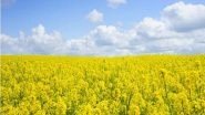 Business News | Self-reliance in Edible Oils Need of Hour, GM Mustard to Pave Way