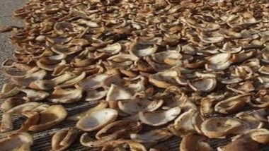 Business News | Union Cabinet Raises Copra MSP for 2023 Season