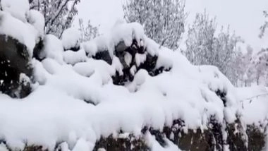 India News | Himachal Pradesh: Lahaul-Spiti Receives Season's First Snowfall