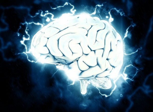 Science News | Research Suggests Holding Information in Mind May Mean Storing It Among Synapses