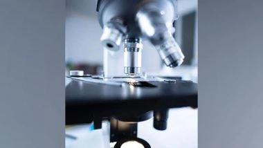 Science News | Research: Drying Process Could Be Key Step in the Development of Life