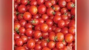 Business News | Red for Heath: Enjoy Red Gold Tomatoes from Europe