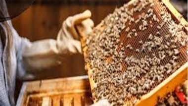 India News | Jammu & Kashmir Poised to Witness 'Sweet Revolution'