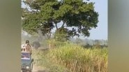 India News | Rhino Chases Tourist Vehicle in Kaziranga National Park; Video Goes Viral