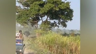 India News | Rhino Chases Tourist Vehicle in Kaziranga National Park; Video Goes Viral