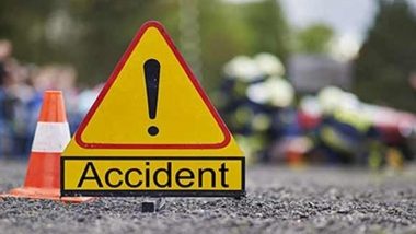 Uttar Pradesh Road Accident: 40 Buffaloes, Two Men Killed After Speeding Container Truck Hits Concrete Pillar in Mahoba