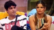 Bigg Boss 16: Archana Gautam Compares Ankit Gupta to Jamie Dornan's Character From Fifty Shades of Grey