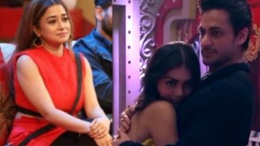 Bigg Boss 16: Sreejita De Mimics Tina Datta by Looking in Camera While Hugging Shalin Bhanot (Watch Video)