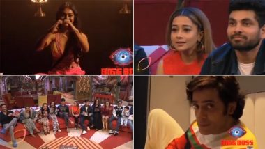 Bigg Boss 16: Sreejita De and Vikkas Manaktala Enter As Wild Cards on Salman Khan's Reality Show (Watch Videos)