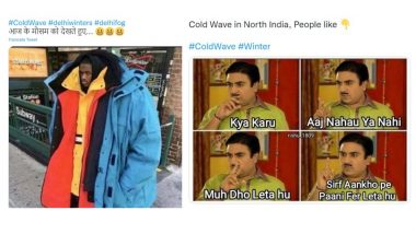 Cold Wave Funny Memes and Jokes Go Viral As North India Experience Chilly Winters!