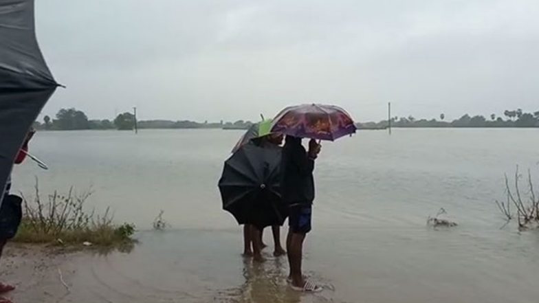 Cyclone Mandous: Incessant Rains Damage Crops, Hit Normal Life in Several Parts of Andhra Pradesh