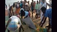 Tamil Nadu: Male Dolphin Weighing Over 300 Kg Entangled in Fishermen&rsquo;s Net Released Back Into Sea in Ramanathapuram