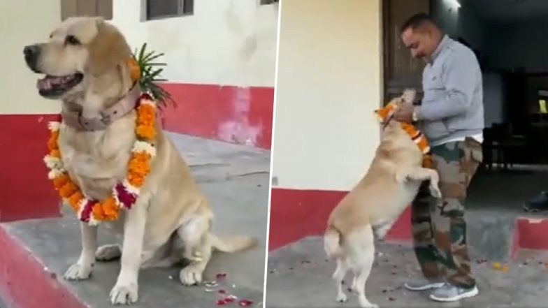 Mathura: RPF Dog ‘Don’ Auctioned For Rs 10,500, Gets New Owner After Seven Years of Service (Watch Video)