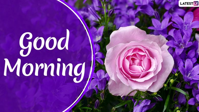 Good Morning Images & Happy New Year 2023 HD Wallpapers For Free Download Online: Celebrate First Day of New Year With WhatsApp Messages, SMS and Quotes!