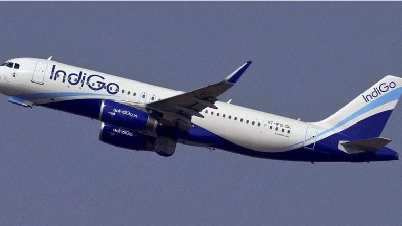 IndiGo Flight Passenger Opens Emergency Door of Plane Triggering Panic Among Co-Passengers, DGCA Orders Probe