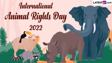 International Animal Rights Day 2022: Know Date, History and Significance of  the Day About the Importance of the Right to Life and Freedom for Animals |  🙏🏻 LatestLY