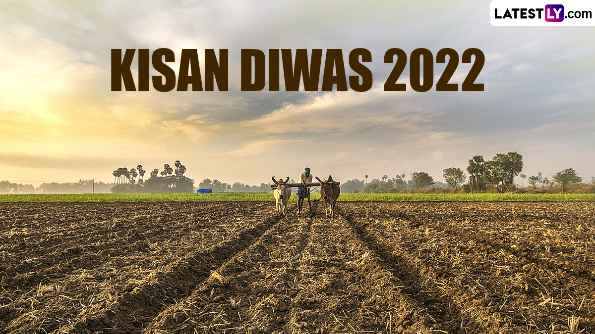 Popularly known as Kisan Diwas, the National Farmers' Day is a, old farmers  day HD phone wallpaper | Pxfuel
