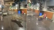Leopard Strays Into Hetero Pharma Unit in Telangana&rsquo;s Sangareddy Leaving Employees Terrified; Captured (Watch Videos)