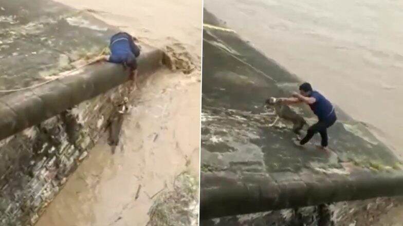 Heartwarming Video: Man Saves Life of Dog Stuck in Overflowing Water Reservoir, Gets Applause Online