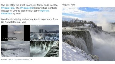 Niagara Falls Frozen in US Winter Storm aka ‘Blizzard of the Century,’ Pics and Videos of Waterfall in North America Partially Turned Into Icy Wonderland Go Viral!