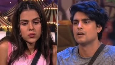 Bigg Boss 16: Priyanka Chahar Choudhary Chooses Ankit Gupta Over Rs 25 Lakh (Watch Video)