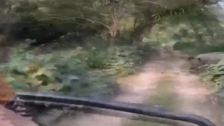 Rhinoceros Chases Tourist Vehicle in Assam's Manas National Park, Terrifying Video Goes Viral