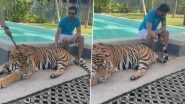 Santhanam&rsquo;s Video of Him Petting a Tiger Goes Viral; Twitterati Asks Actor to Be Responsible and Not Encourage Animal Cruelty!