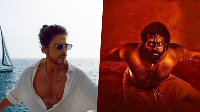 Shah Rukh Khan Working With Kantara Director Rishab Shetty? Here's the Truth