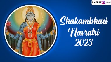 Shakambhari Navratri 2022 Images and HD Wallpapers for Free Download Online: Share WhatsApp Messages, Greetings and Wishes on This Auspicious Occasion