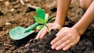 Tami Nadu: Dindigul District To Create Guinness World Record by Planting 6 Lakh Tree Saplings in 6 Hours To Improve Green Cover