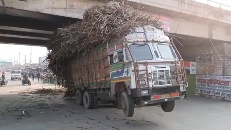 Truck Overloaded With Sugarcane Gets Stuck Under Flyover in Uttar Pradesh's Hapur, Video Goes Viral