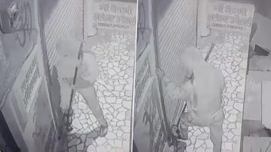 Viral Video: Woman Tries To Break Lock of Liquor Shop in UP's Unnao; Police Issue Statement