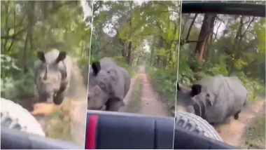 Scary! Angry Rhino Chases Tourists in Safari Jeeps Inside Assam's Kaziranga National Park, Woman Caught Shouting 'Speed Up' in Viral Video