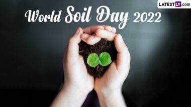 World Soil Day 2022 Quotes: Share Slogans, Sayings and Messages To Raise Awareness About the Conservation of Soil With Everyone You Know