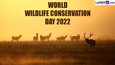 Wildlife Conservation Day 2022 Images and HD Wallpapers for Free Download Online: Quotes, Messages and Sayings To Mark The Global Observance