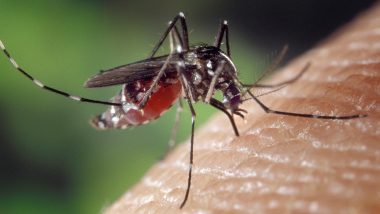 Zika Virus in Karnataka: Five-Year-Old Girl From Raichur Becomes First Confirmed Patient