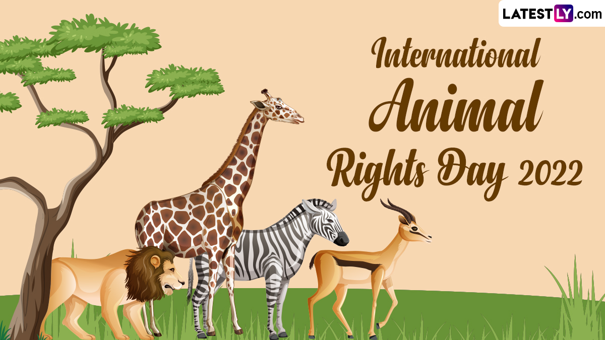 International Animal Rights Day 2022 Quotes: HD Images, Sayings and  Messages To Share on The Annual Global Event | 🙏🏻 LatestLY