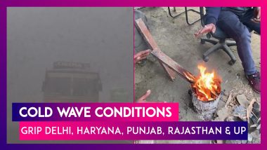 Cold Wave Conditions Grip Delhi, Haryana, Punjab, Rajasthan & Uttar Pradesh