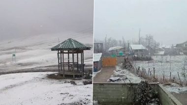 Snowfall in Kashmir: Sonamarg, Yousmarg and Other Places Turn Into White Paradise (Watch Video)