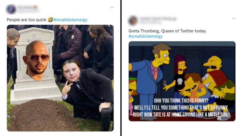 #smalldickenergy Trending After Greta Thunberg Ratioed Andrew Tate With 'Tweet of The Year,' Netizens Share Funny Memes and Jokes